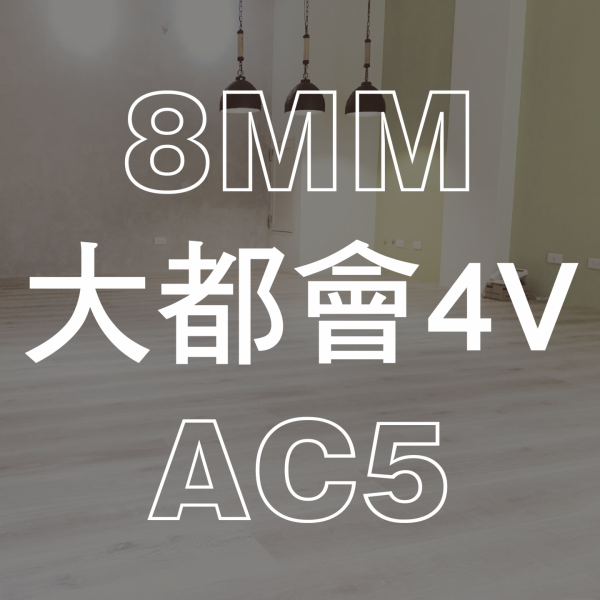 大都會4V