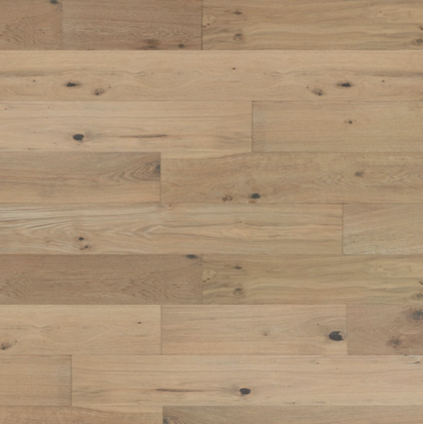 爵禮棕橡 PR24EW-WG