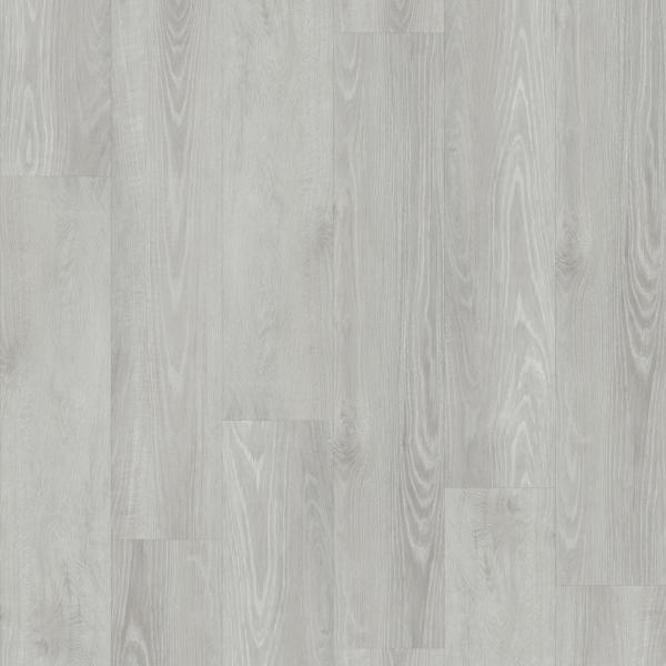 CHS-1205秋杉木語