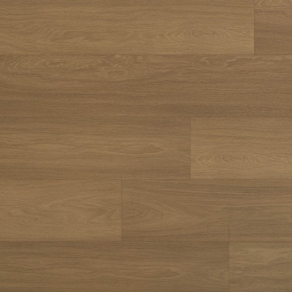 PKL 1003 伊布橡木