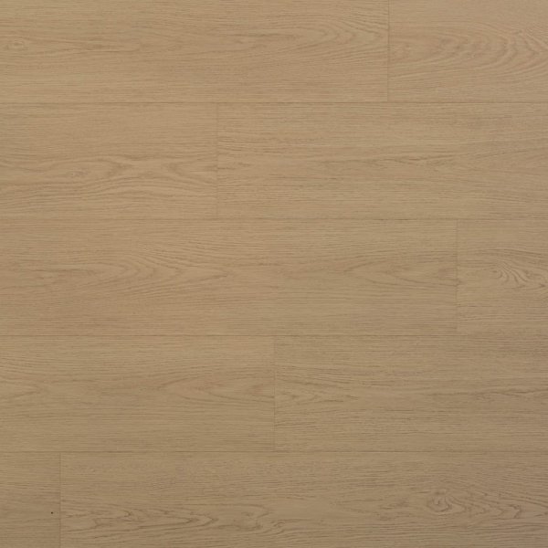 PKL 1005 安妮亞核桃