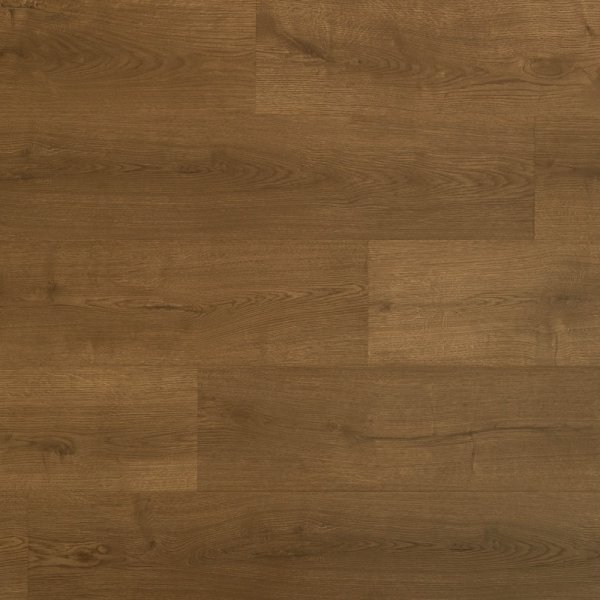 PKL 1008 馬爾斯棕橡