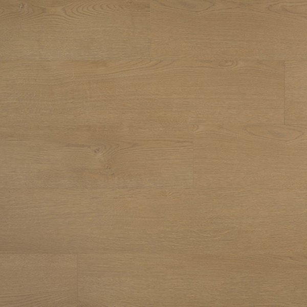 PKL 805 月珥橡木