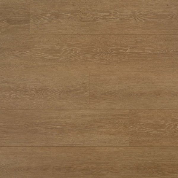 PKL 806 芥子原木