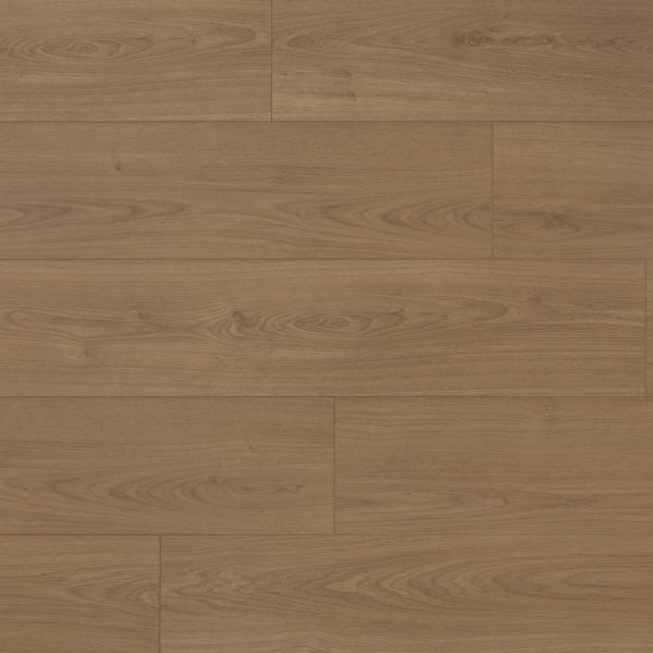 PKL 807 奇美拉橡木