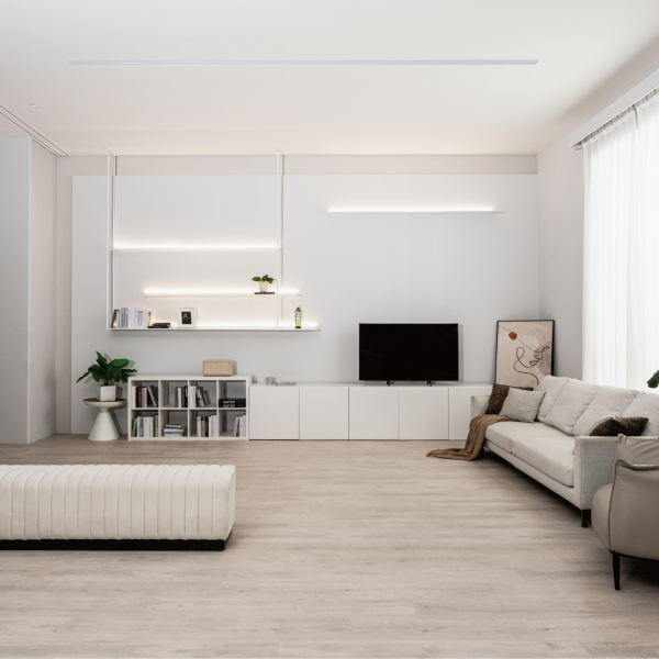 65365 Murcia穆爾橡木